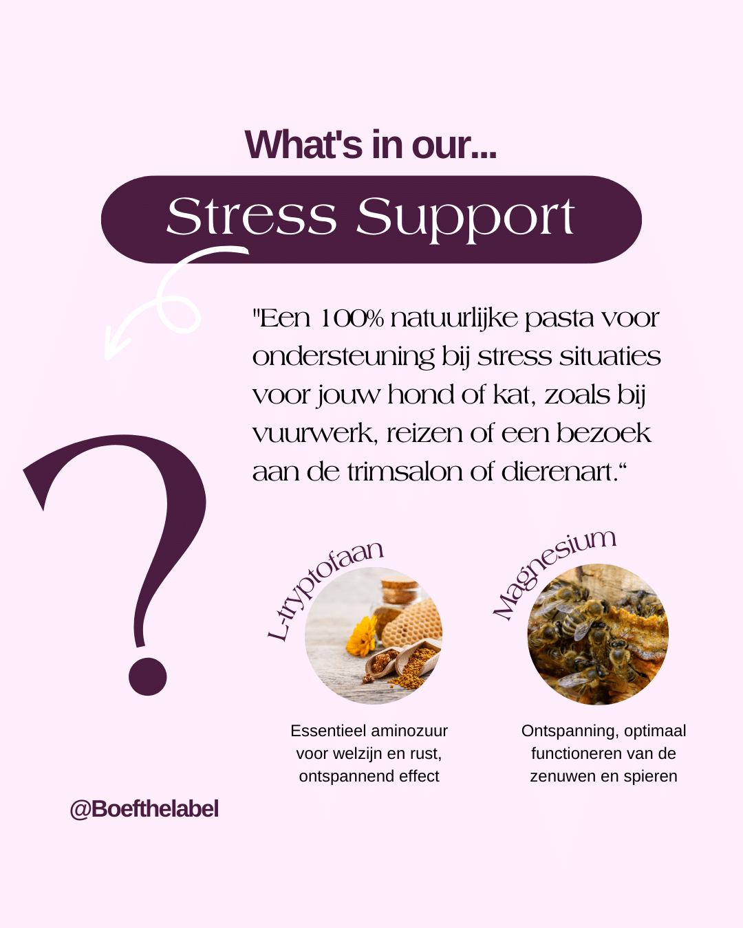 Stress/relax Support